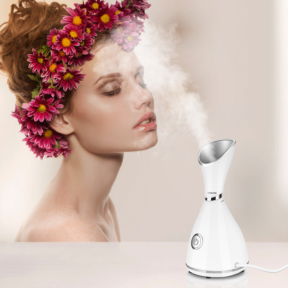 Facial Steam Device