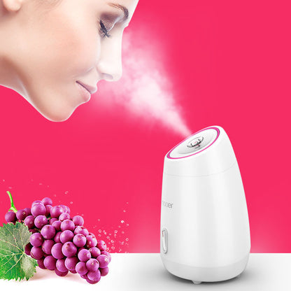 Facial Steamer Device