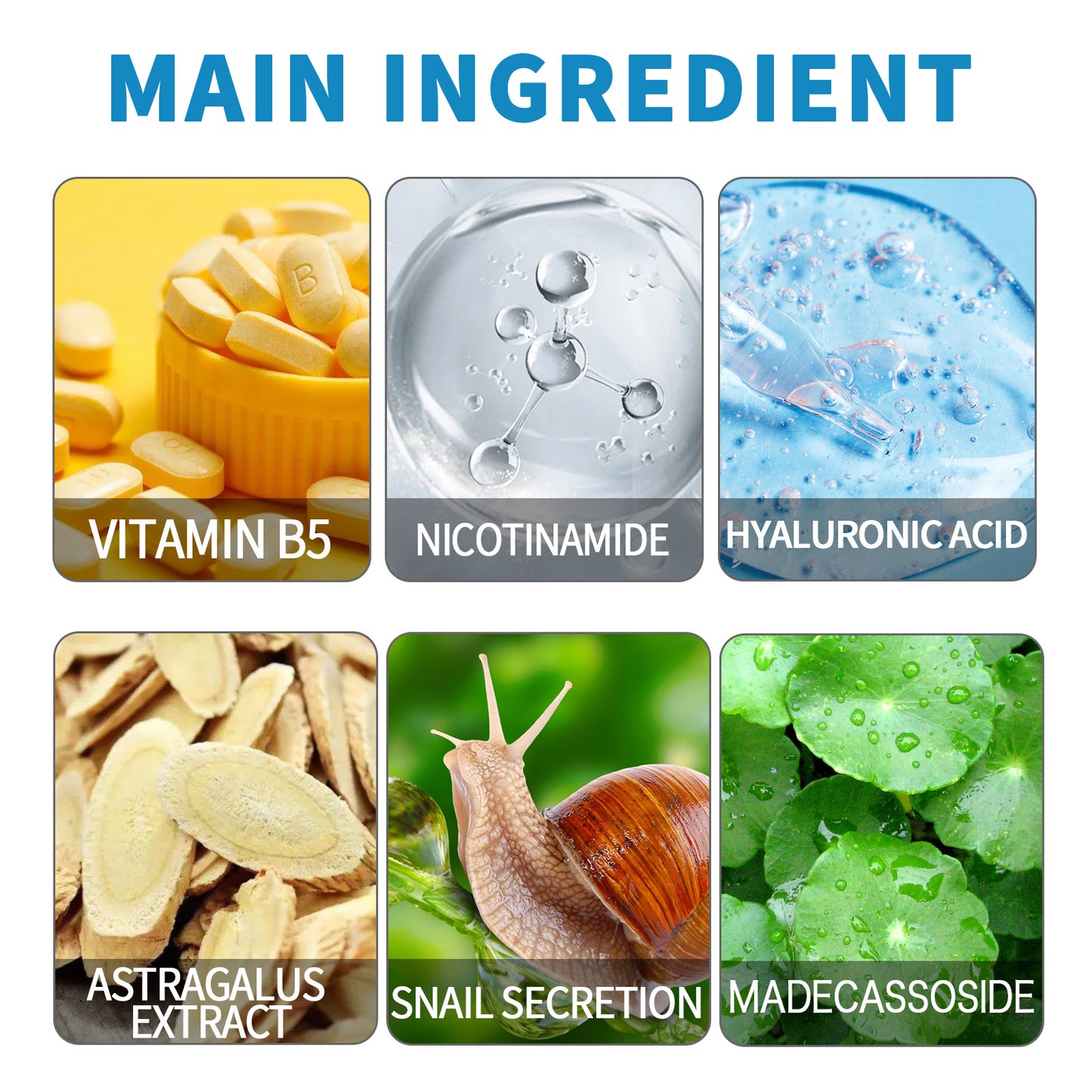 West&Month B5 Facial Essence